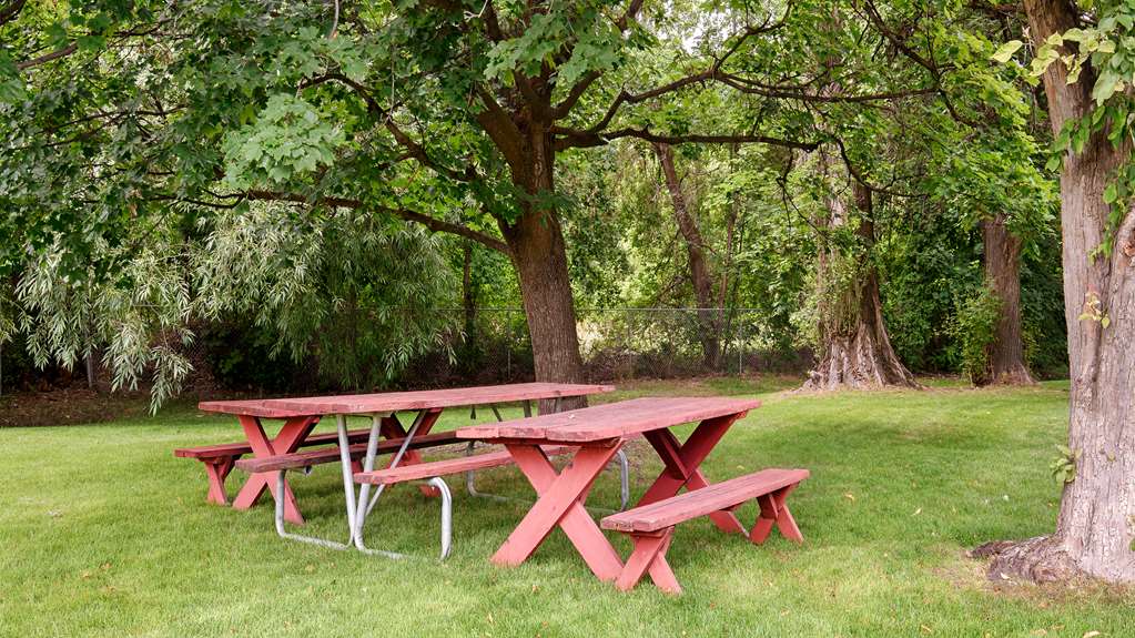 Baugh Motel SureStay Collection by Best Western - photo 17