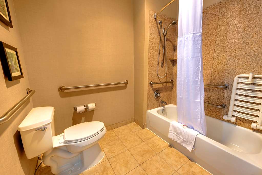 Comfort Suites Goodyear West Phoenix - photo 45