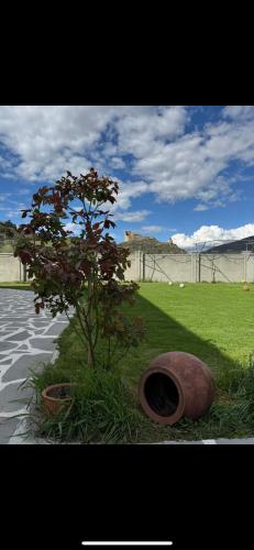 Wine tasting Kitesa’s wine cellar in Mtskheta, Georgia