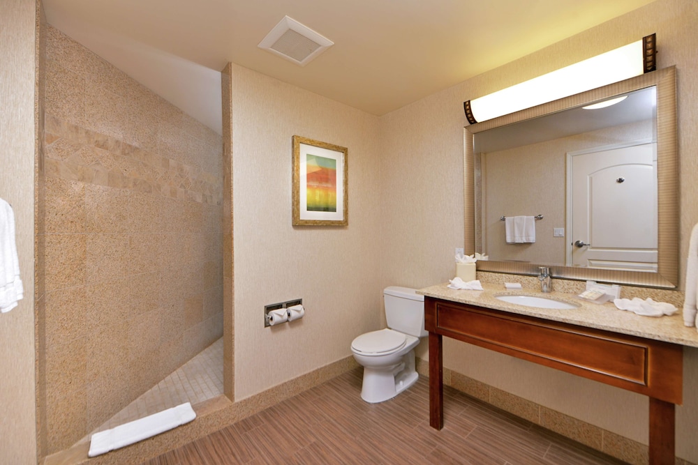 Hilton Garden Inn Boise Spectrum - photo 41
