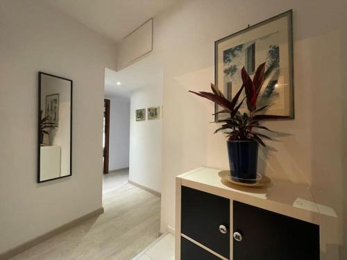Spacious and Bright — 4-Star Luxury Hotel in Rome, Italy
