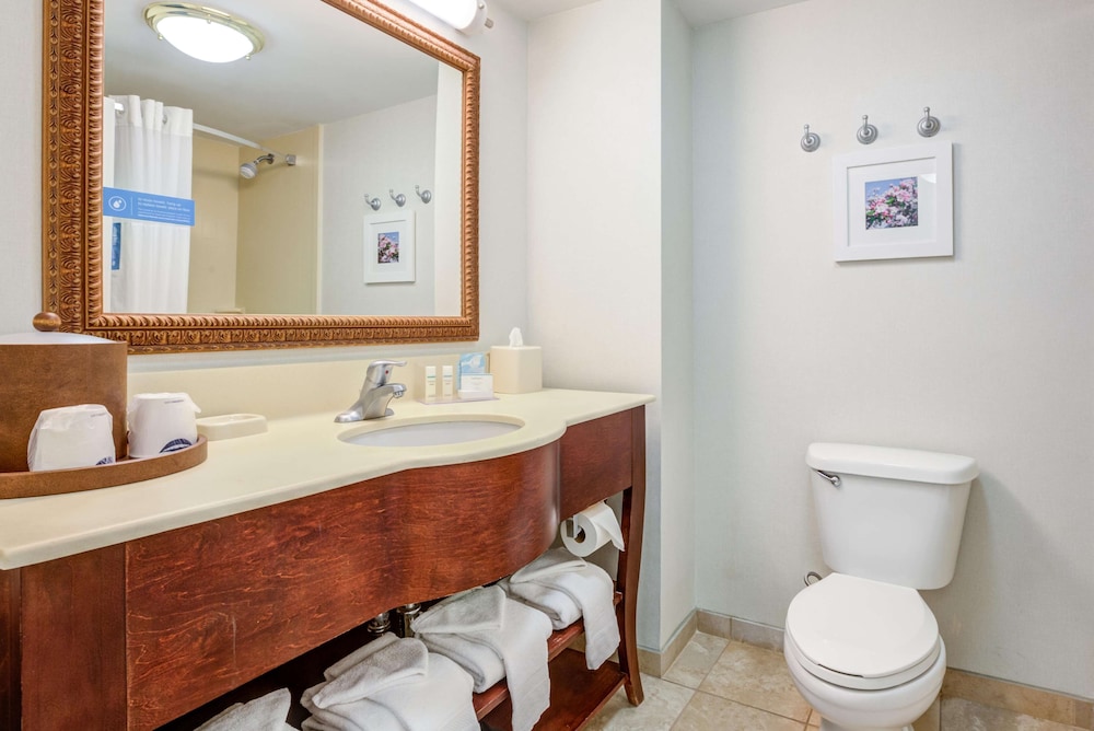 Hampton Inn & Suites Westford Chelmsford - photo 19