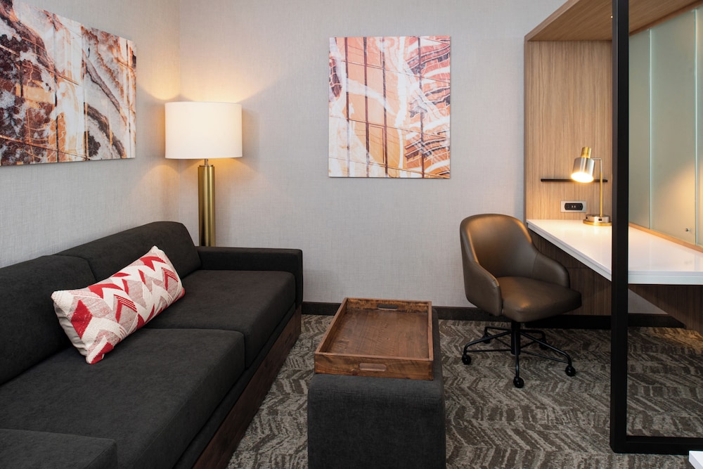 Springhill Suites Kansas City Northeast - photo 27