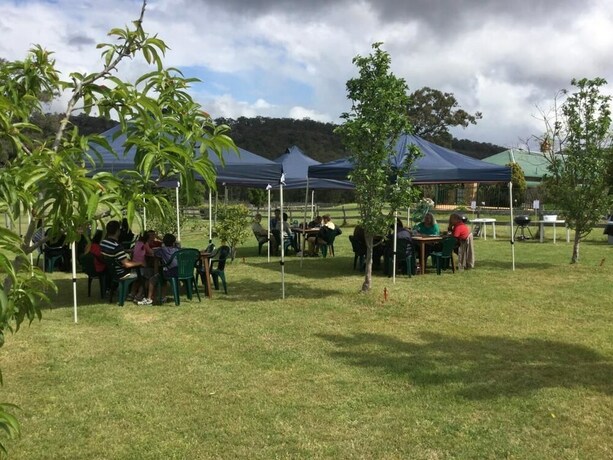 Ascella Organic Wine in Pokolbin, Australia