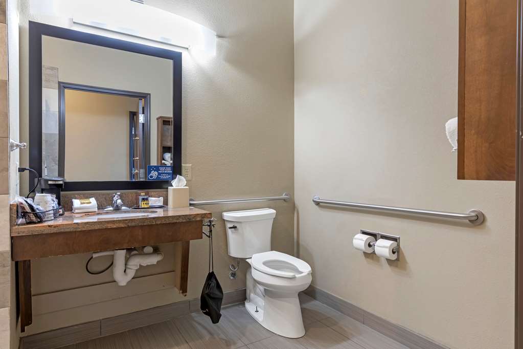 Best Western Plus Fort Stockton Hotel - photo 32