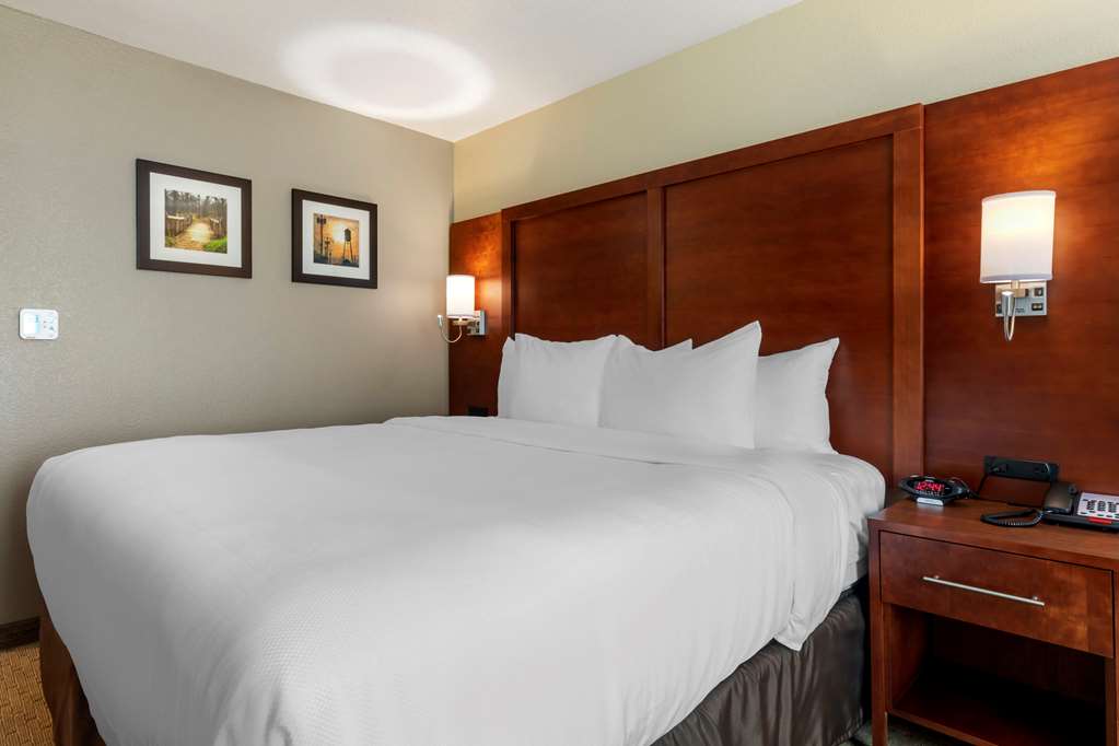Comfort Inn & Suites Euless DFW West - photo 6