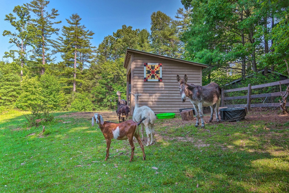 Rustic & Authentic Farm Stay by Dupont Forest — hotel in Hendersonville