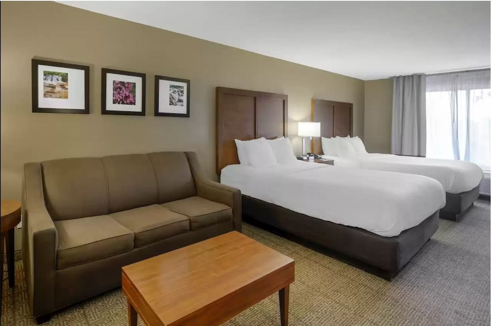 Comfort Inn & Suites Peachtree Corners Norcross - photo 14
