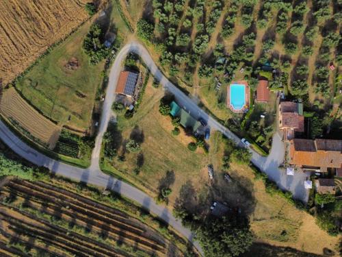 La Piaggiola degli Olivi — Panicale — photo 5