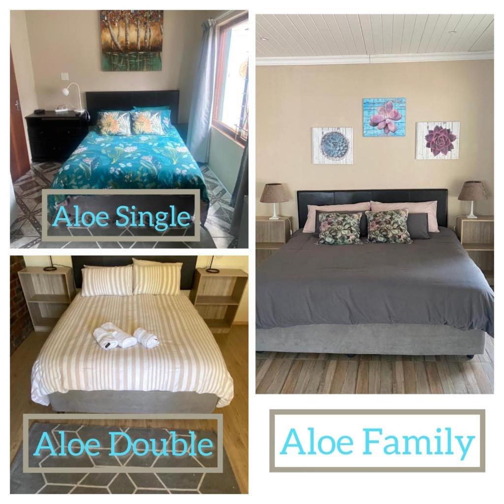 Aloe Guest Rooms in Bloemfontein, South Africa