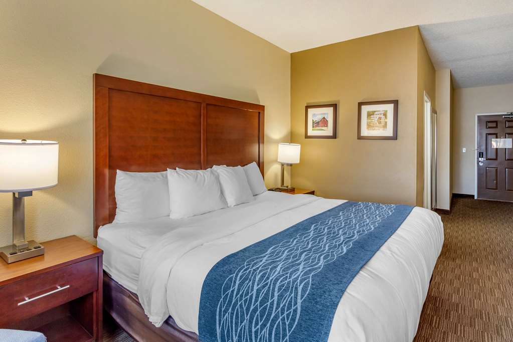 Comfort Inn Rockford near Casino District - photo 13