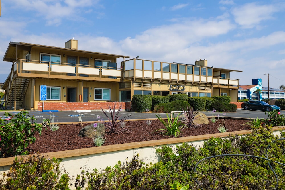 Silver Surf Motel - photo 126