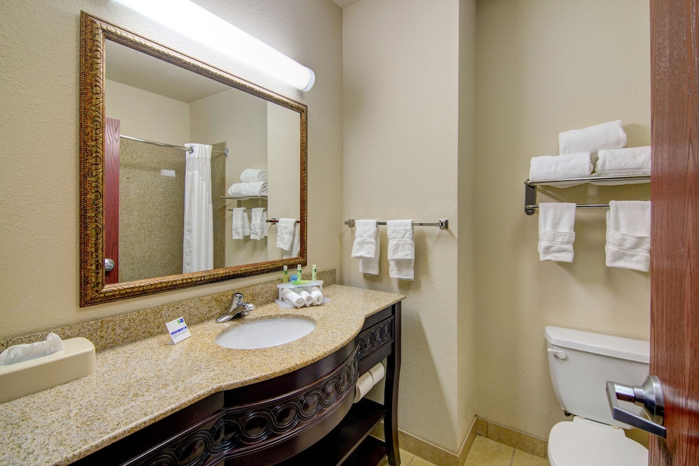 Holiday Inn Express Hotel & Suites Terrell by IHG - photo 20