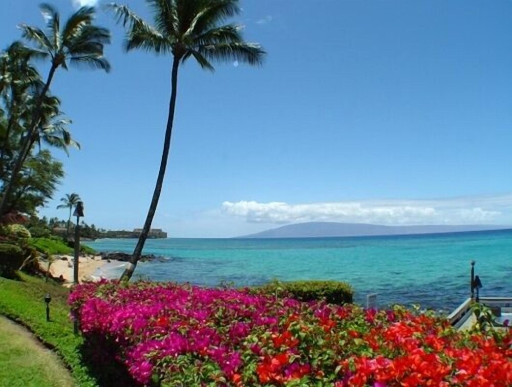Polynesian Shores - photo 165