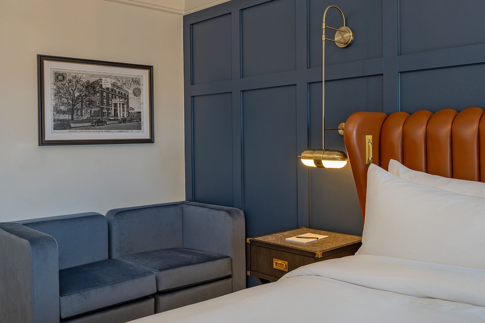 The Publisher Downtown Fredericksburg a Tribute Portfolio Hotel - photo 15