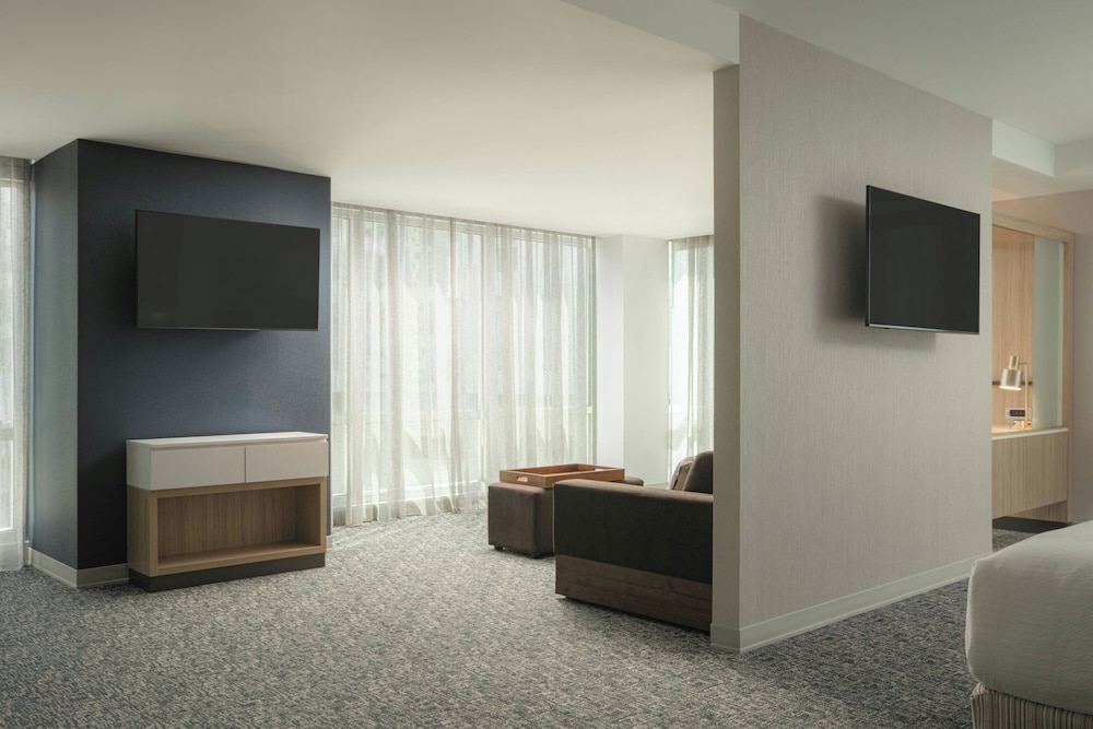 SpringHill Suites by Marriott Tampa Downtown - photo 10