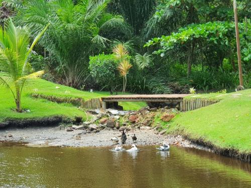 Litoral Norte Jacuípe Guarajuba in Camacari, Brasil