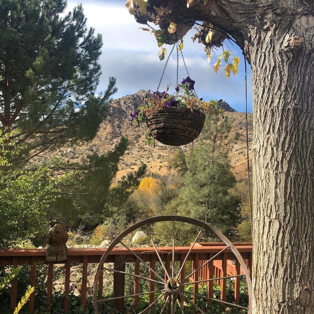 Sequoia Lodge - photo 40