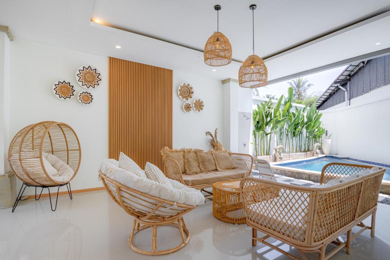 Forest in bali in Ubud, Indonesia