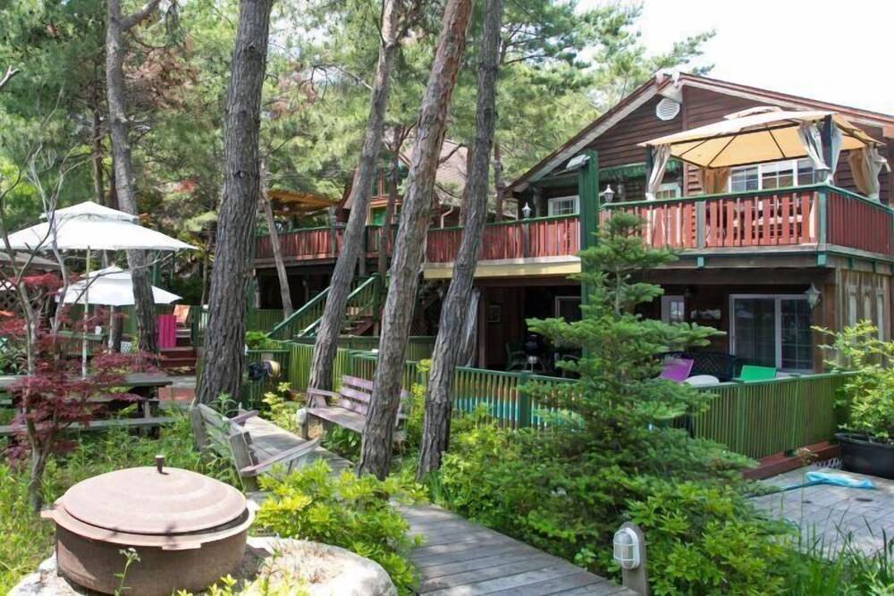 Hoengseong Marshmallow Pool Villa pets allowed — 4-Star Luxury Hotel in Pyeongchang, South Korea