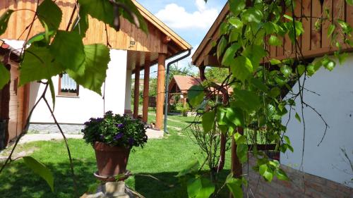 Zergeboglár Vendégház — 4-Star Luxury Hotel in Szilvasvarad, Hungary