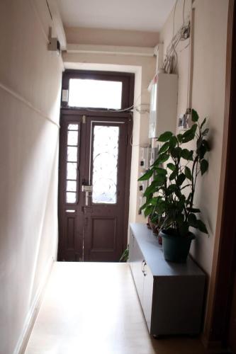 My sweet home