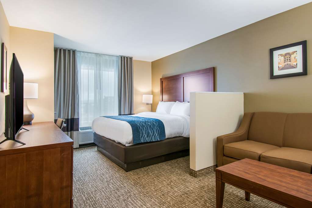 Comfort Inn & Suites Harrisburg Hershey West - photo 28