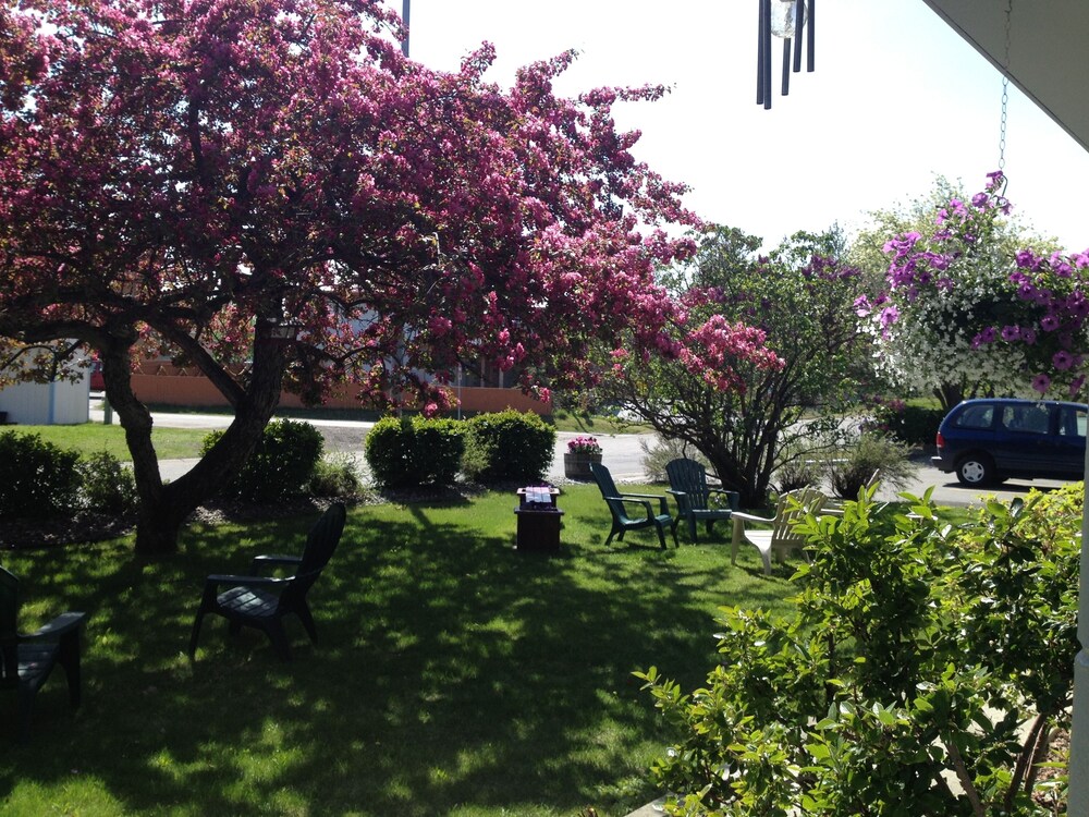 Lakeshore Inn & Suites - photo 44