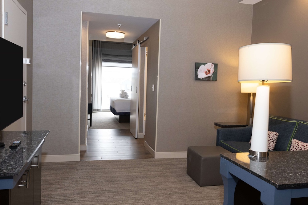 Hilton Garden Inn Austin Airport - photo 13
