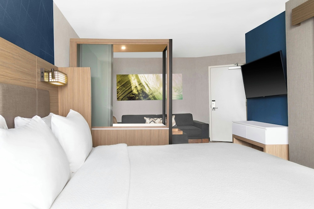 SpringHill Suites by Marriott Holland - photo 5
