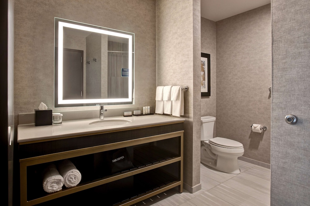 Embassy Suites by Hilton Rockford Riverfront - photo 31