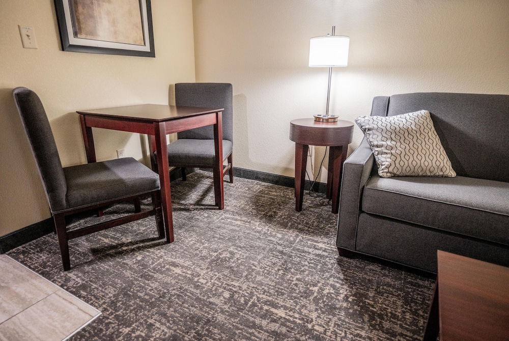 Cobblestone Hotel & Suites Lamar - photo 17