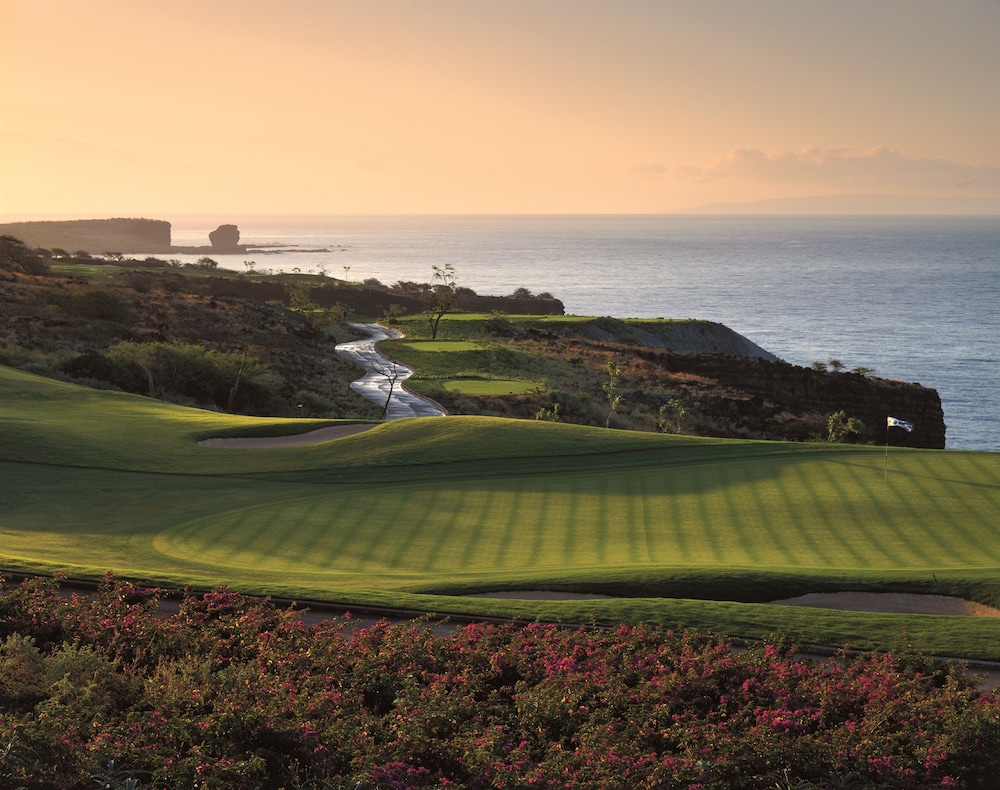 Four Seasons Resort Lanai - photo 88