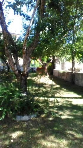 Appartamenti De Sanctis — hotel in Villetta Barrea