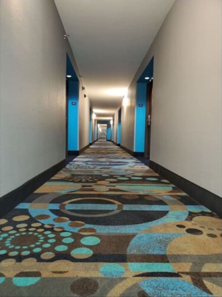 Comfort Suites Plano East Richardson - photo 65