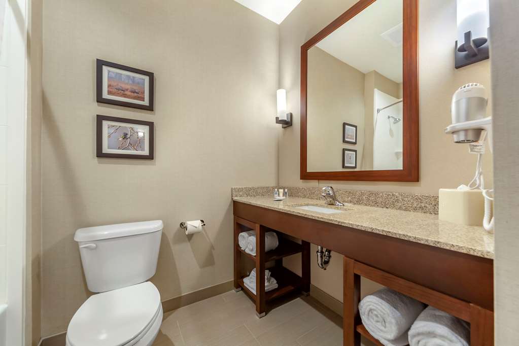 Comfort Suites Grand Island South - photo 15