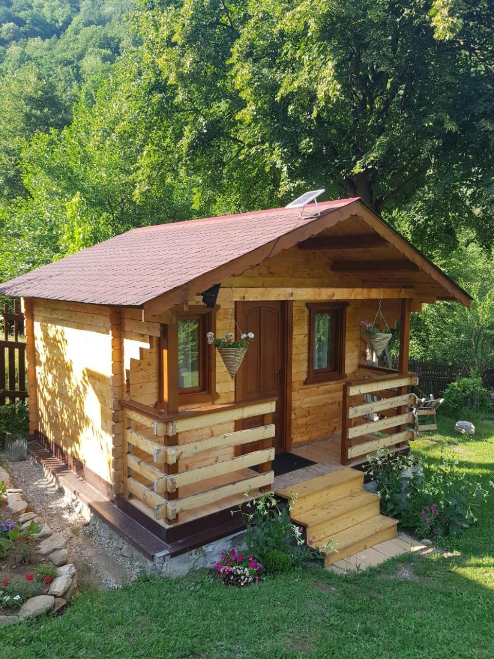 Bit of Paradise in Rau De Mori, Romania