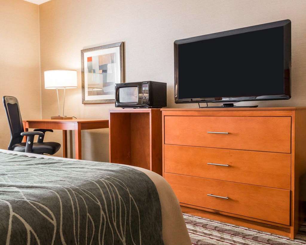 Comfort Inn Metro Airport - photo 15