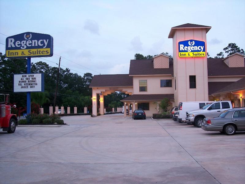 Regency Inn & Suites By Capital O Houston IAH Airport - photo 3