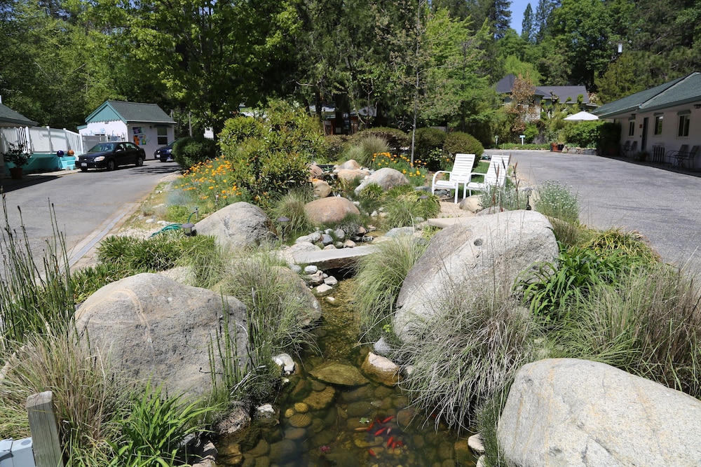Outside Inn - photo 225