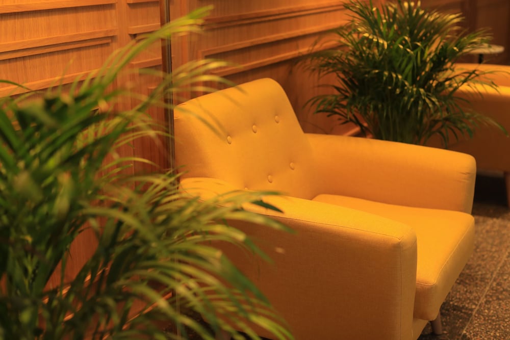 Pine Astoria Hotel — Tbilisi — photo 2