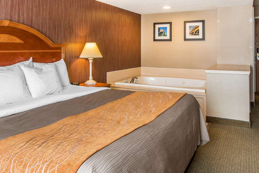 Comfort Inn Chelsea MI - photo 24