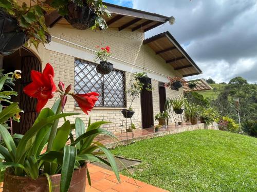 Hermosa finca villajovi con piscina privada in Cali, Colombia