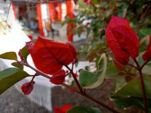 Casa Hotel Villa Marta in Jerico, Colombia