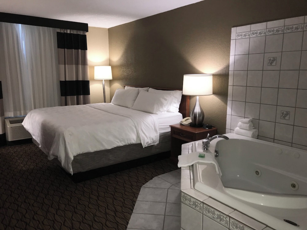 Holiday Inn Alexandria by IHG - photo 9