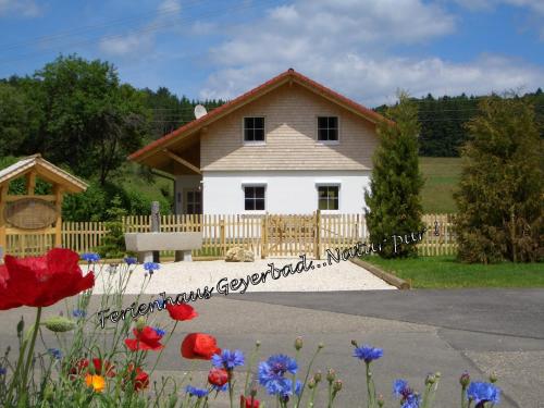 Ferienhaus Geyerbad — hotel in Messstetten