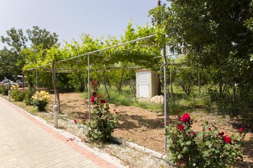 Eliofos Luxury Villa