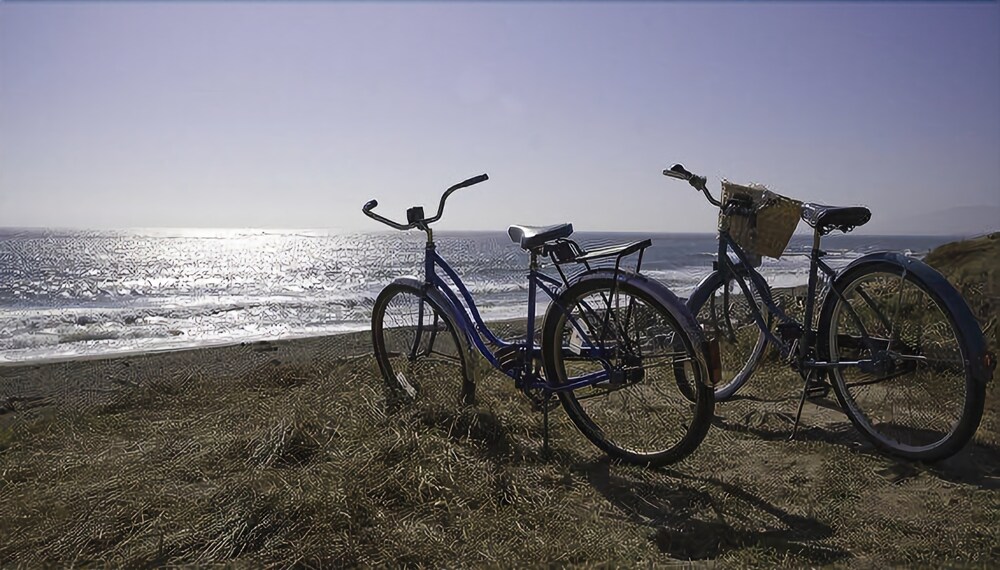 Cambria Landing Inn & Suites - photo 35