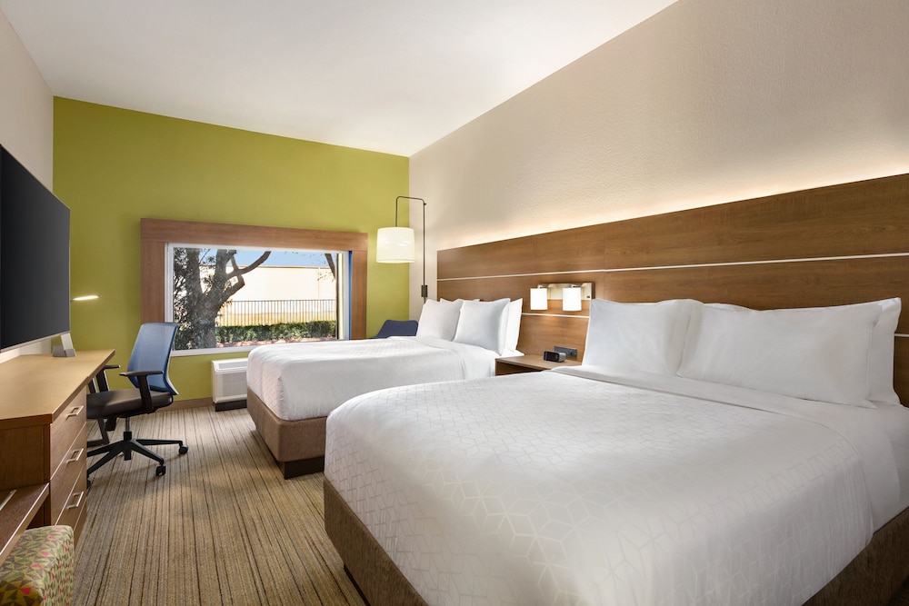 Holiday Inn Express Hotel & Suites Mission McAllen Area by IHG - photo 20