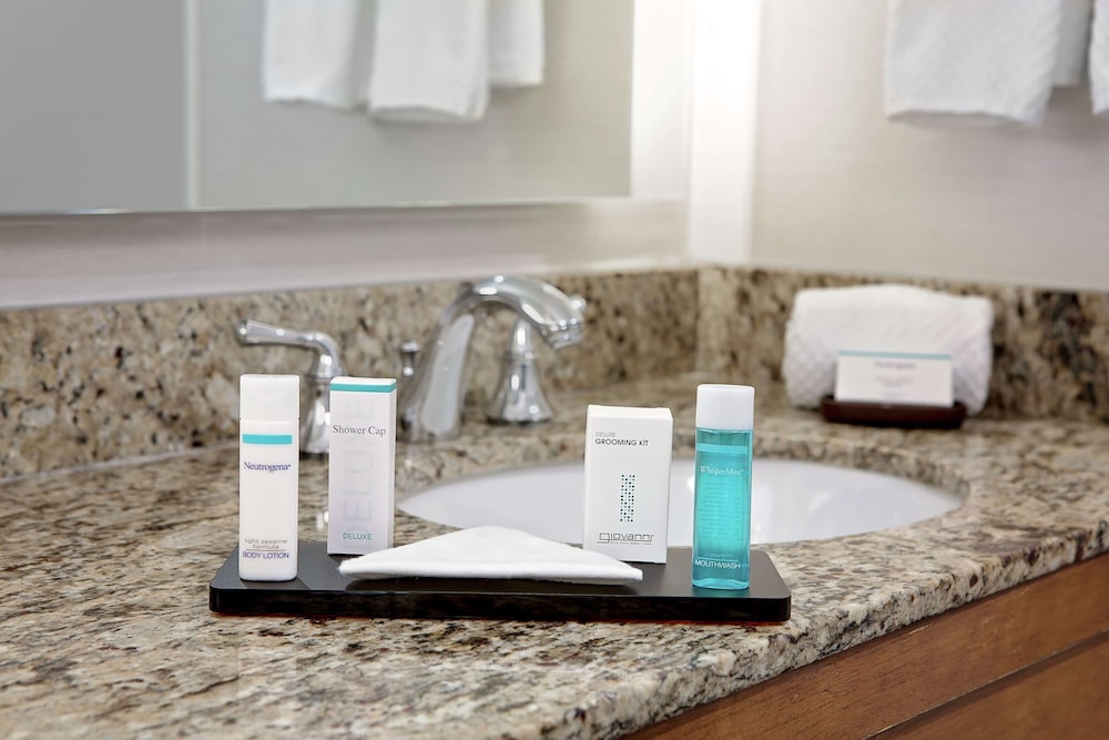 Embassy Suites by Hilton Boston Marlborough - photo 19